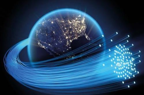 科技賦能，強勁支持 Velia德國維亞網絡如何以專用服務器驅動企業未來